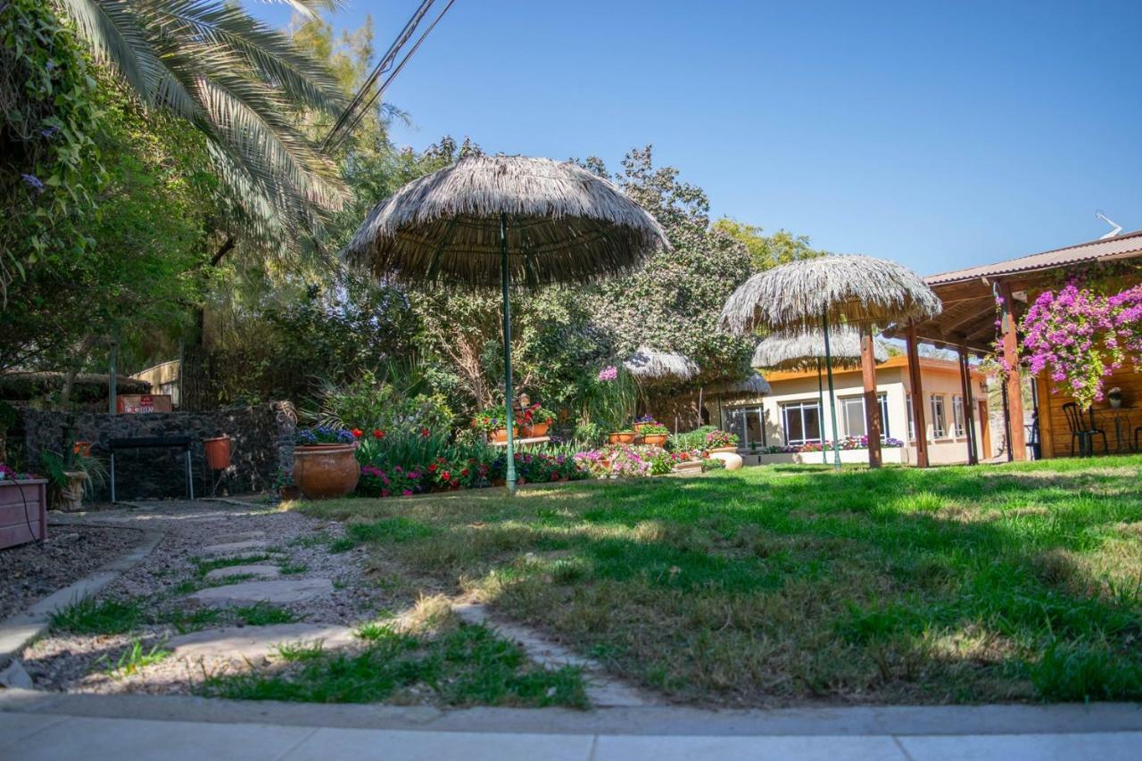 Idan Lodge In The Arava Paran エクステリア 写真